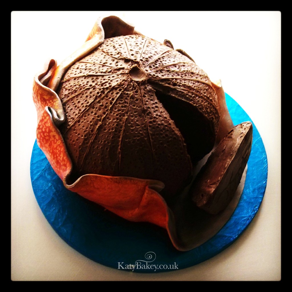 Bespoke Celebration and Wedding Cakes and classes Enfield